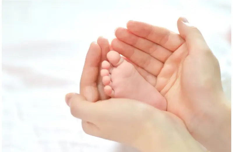 Egg donation in San diego 