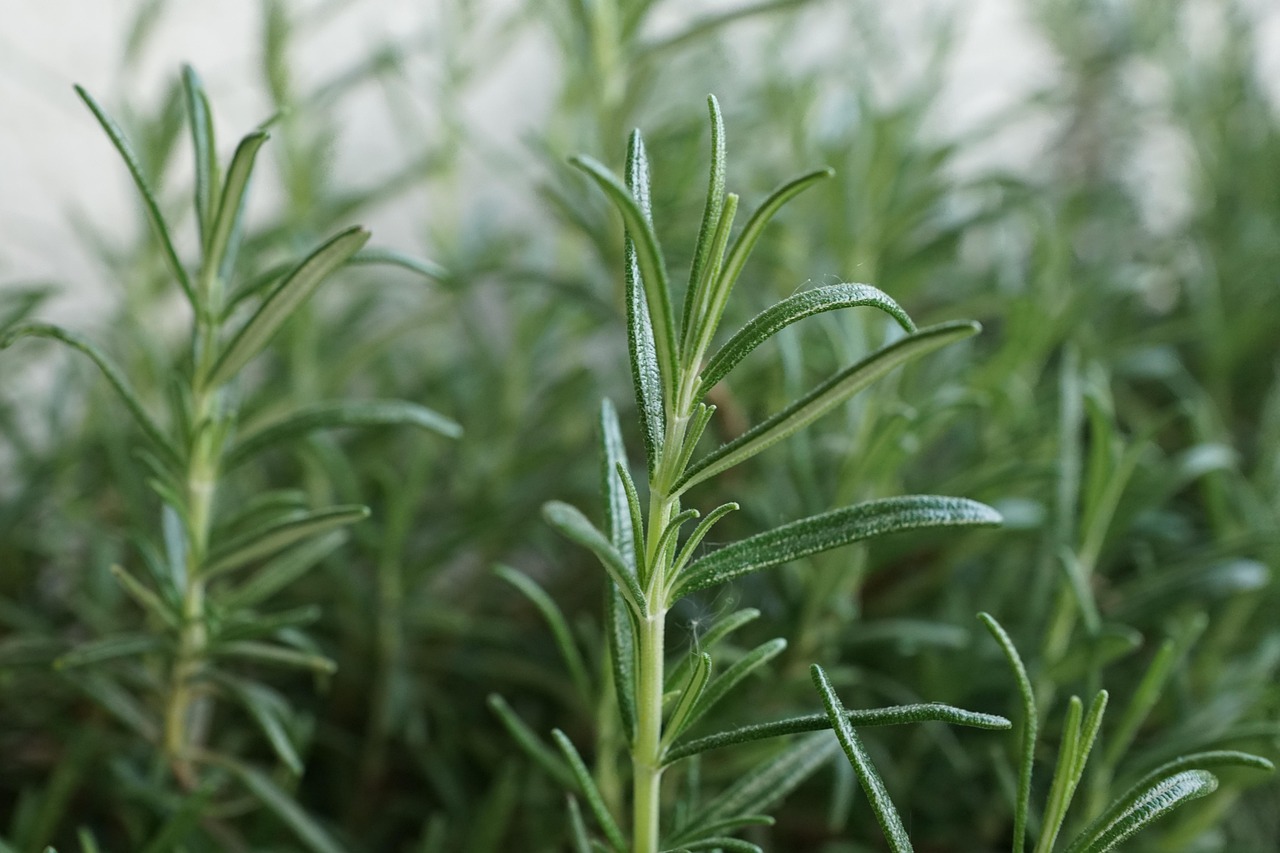 How Encapsulated Active Ingredients Work Differently to Standard Topical Formulas