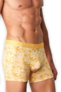 Men's Boxer briefs