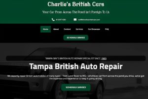 website design tampa