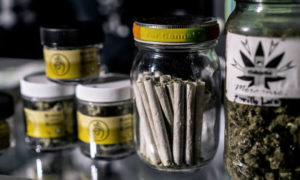 Budtender training