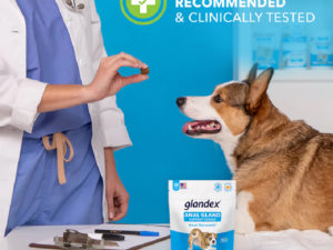glandex anal gland soft chew treats