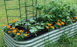 Galvanized raised beds