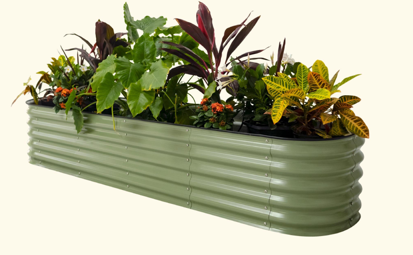 Galvanized raised beds