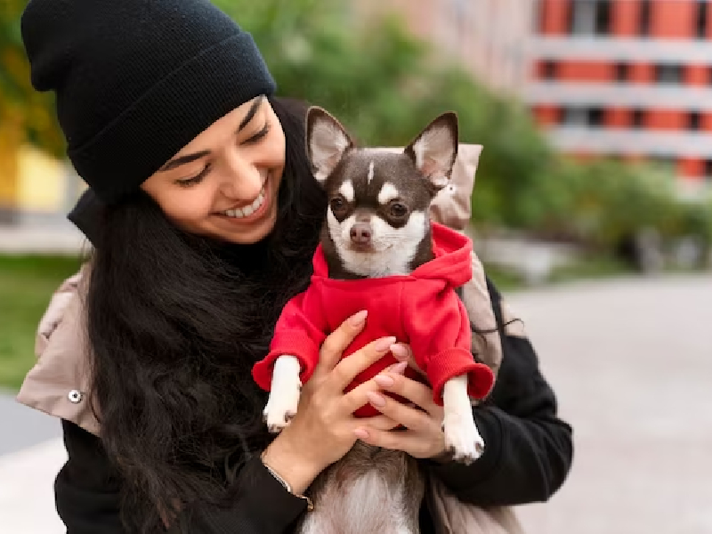 dog walking outfit winter