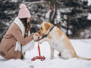 dog walking outfit winter
