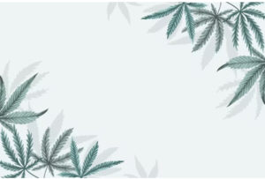medical marijuana card