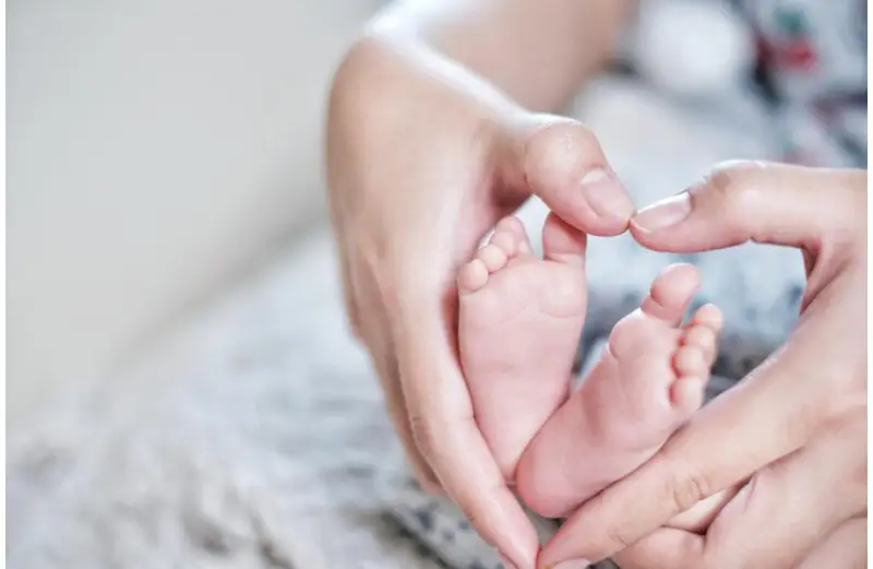 Egg donation in San diego
