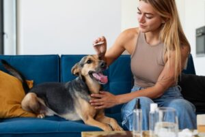 Pet Health